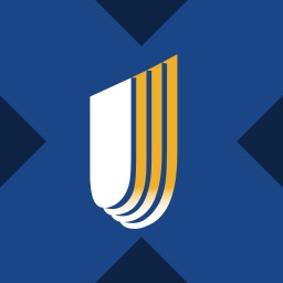 UnitedHealth xStock